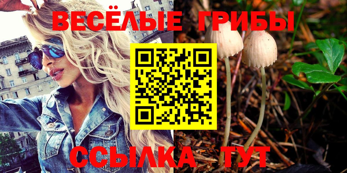 где продают наркотики  Галлюциногенные грибы GOLDEN TEACHER  Вход с VPN  Киселёвск 